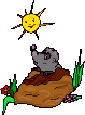 Maus
